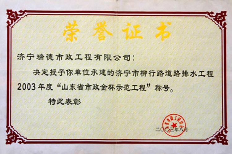 柳行路排水工程获山东省金杯示范工程奖