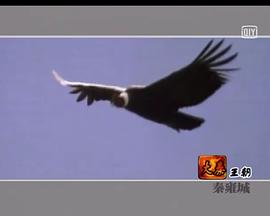 中国十大王朝(全集)