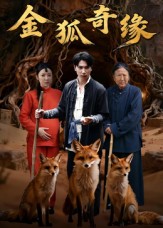金狐奇缘(全集)