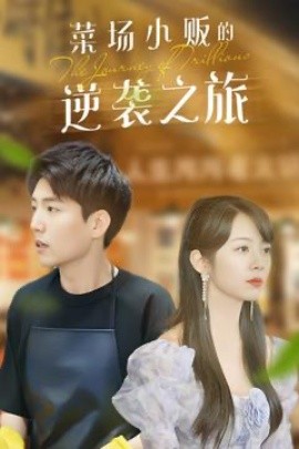 物价贬值：莱场小贩钞级逆袭 菜场小贩的逆袭之旅(全集)